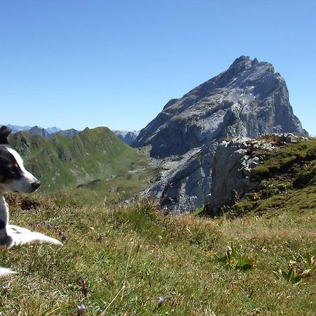 Sonnenhaus Sander Schruns Dış mekan fotoğraf