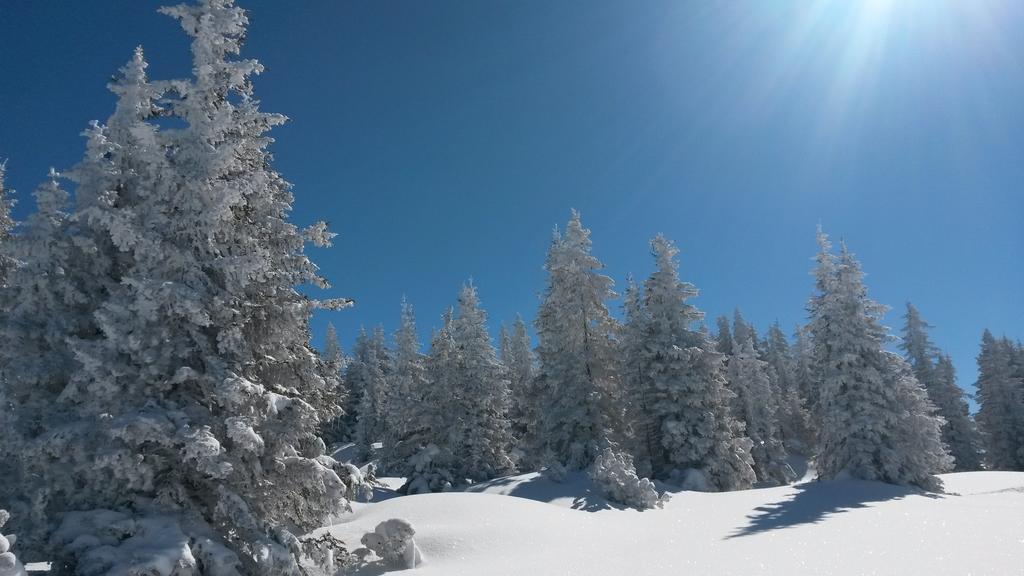 Sonnenhaus Sander Schruns Dış mekan fotoğraf