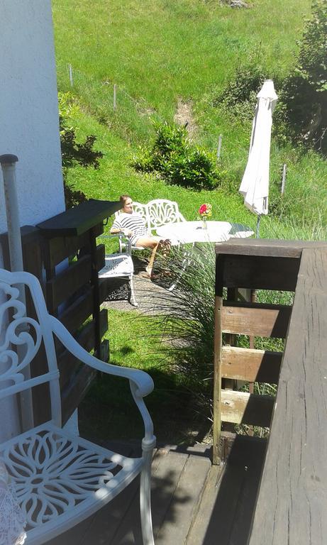 Sonnenhaus Sander Schruns Oda fotoğraf