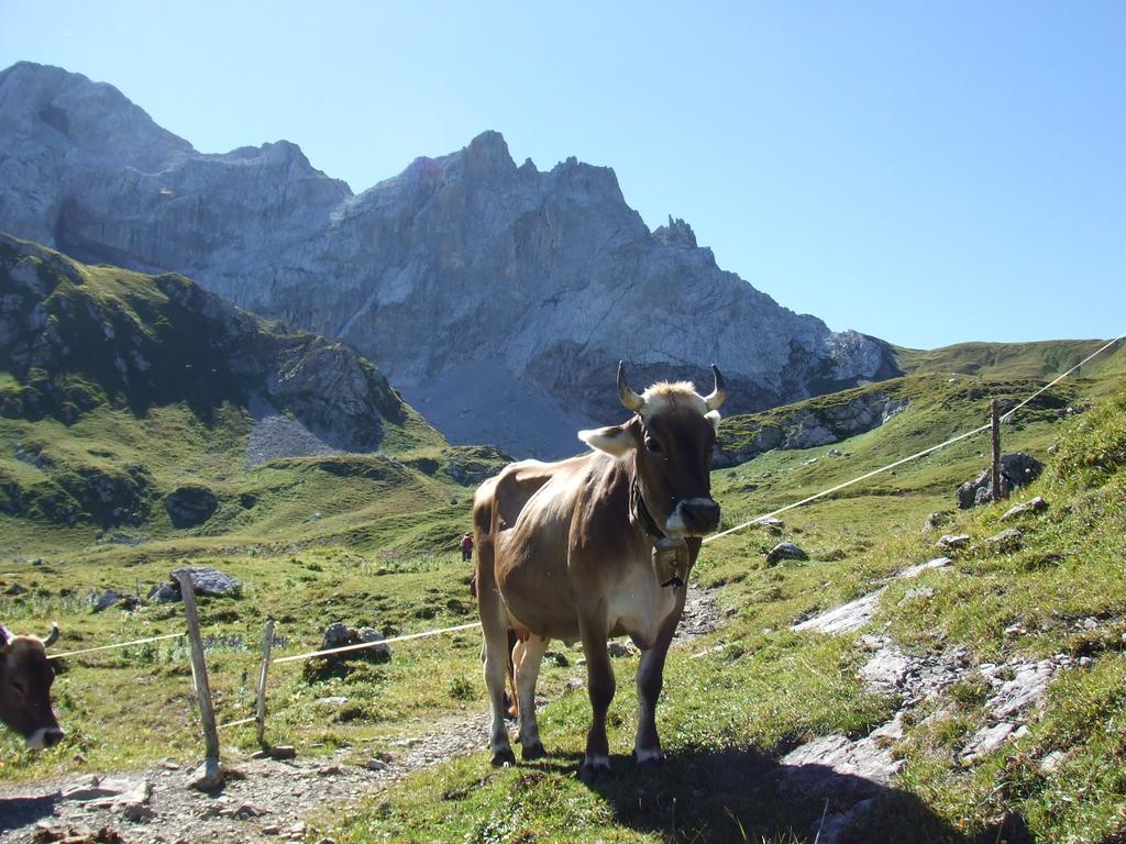 Sonnenhaus Sander Schruns Dış mekan fotoğraf